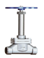 Cryogenic globe valve